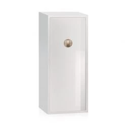 Scully & Scully Varnished Large Metal Armoire